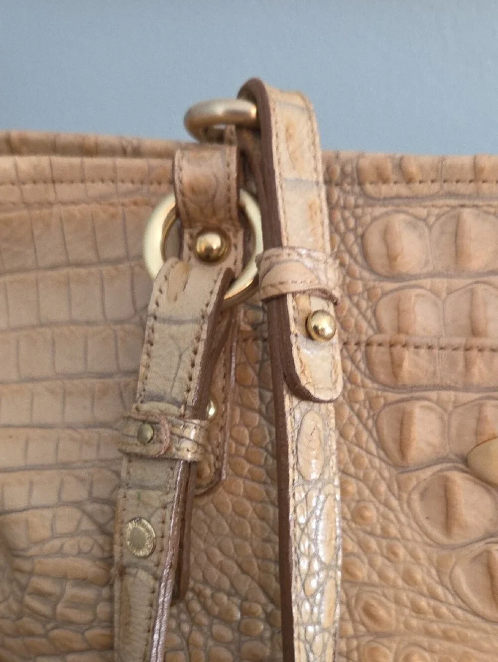 Brahmin medium asher